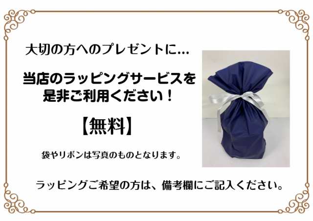 チャージャーのみ・単体】【製品登録不可】国内正規品【新品・未開封